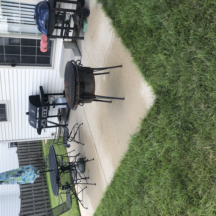 Patio After Service