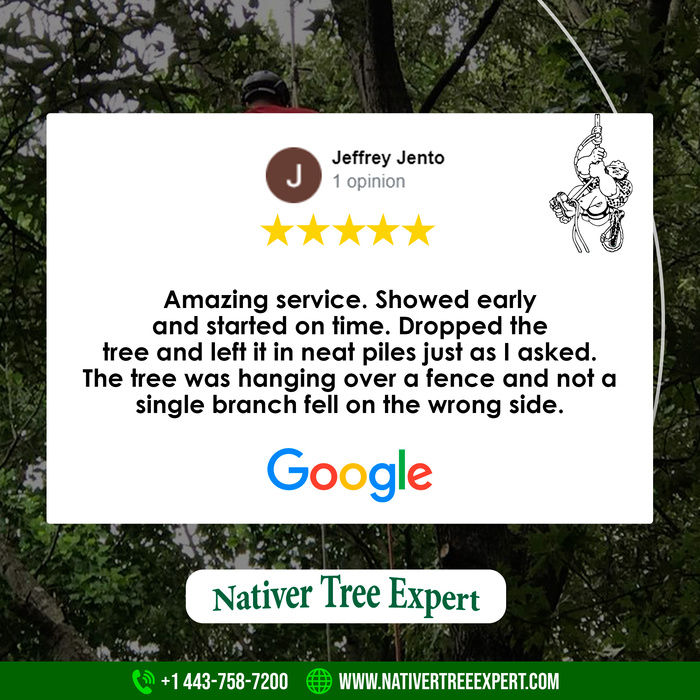 reviews