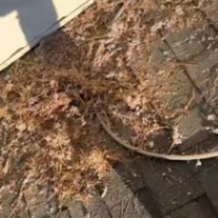 Large Amount of Debris from Dryer Vent