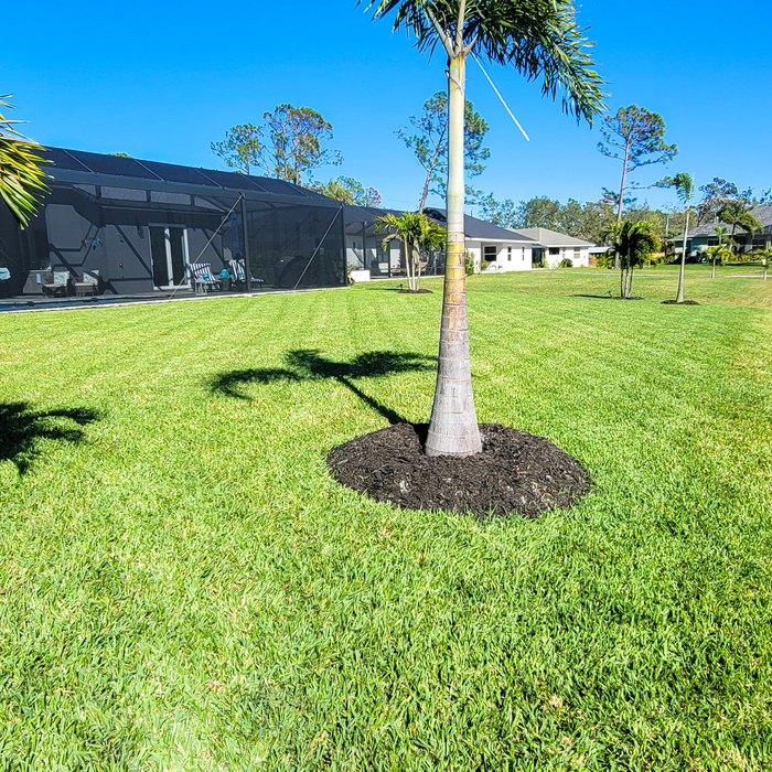 Lawncare in Englewood and Nokomis