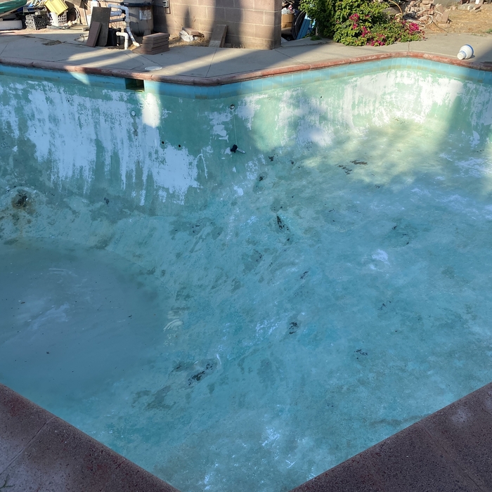 Chlorine Wash