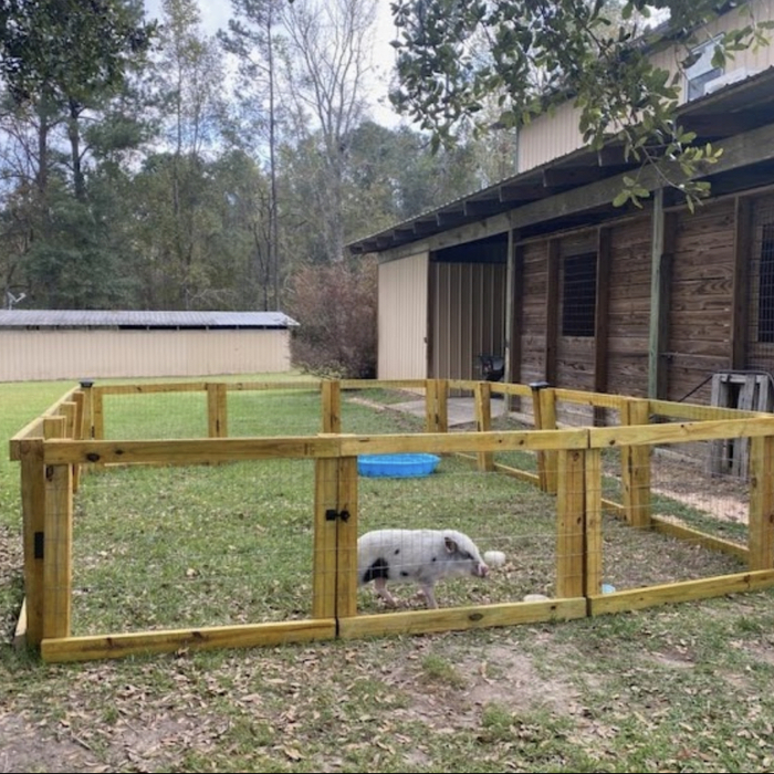 Pet Enclosure