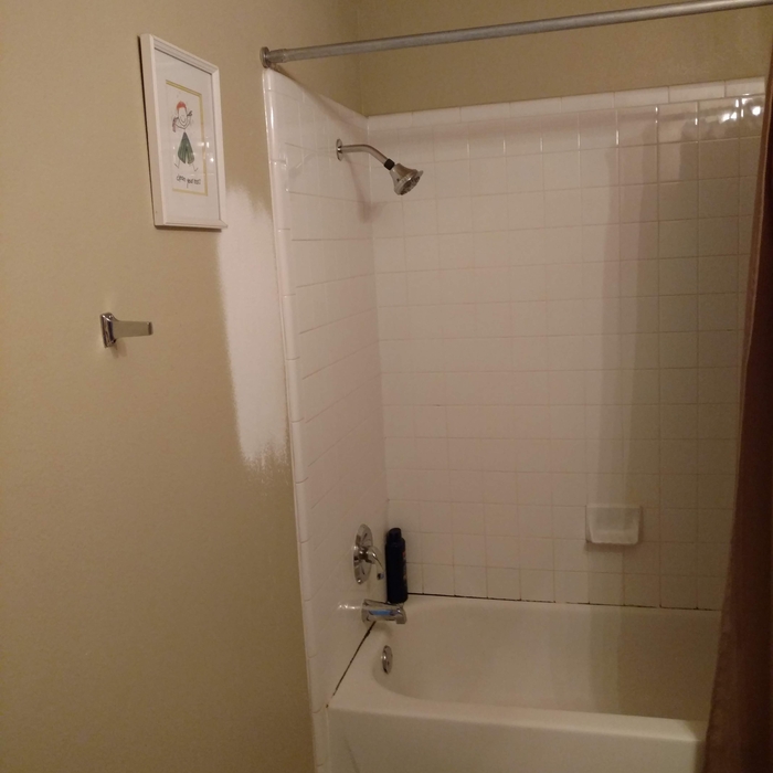 Bath wall before