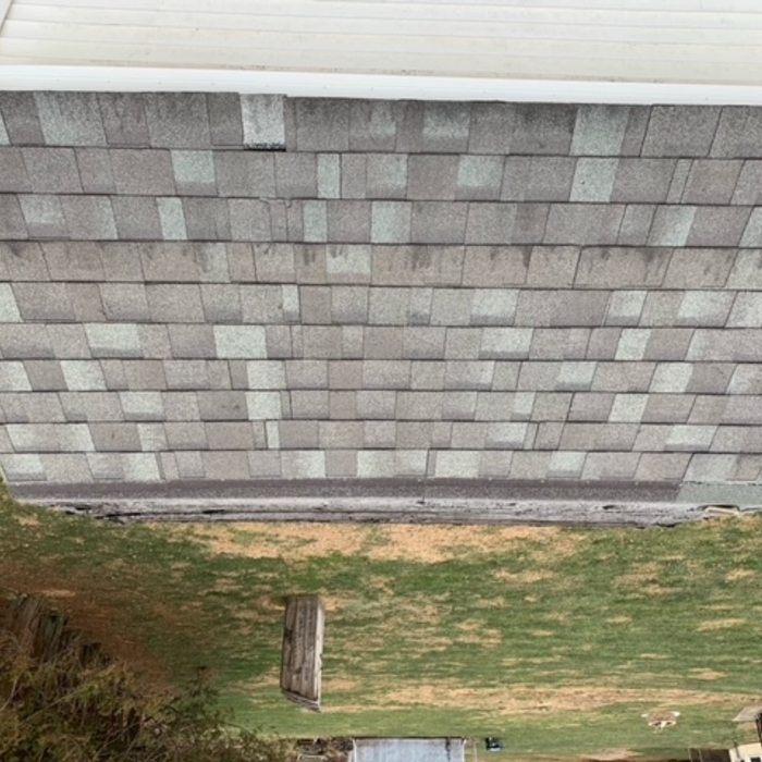 Shed Roof Replacement - Before