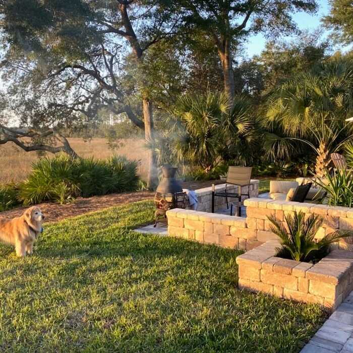 Good Boy Admiring Wall