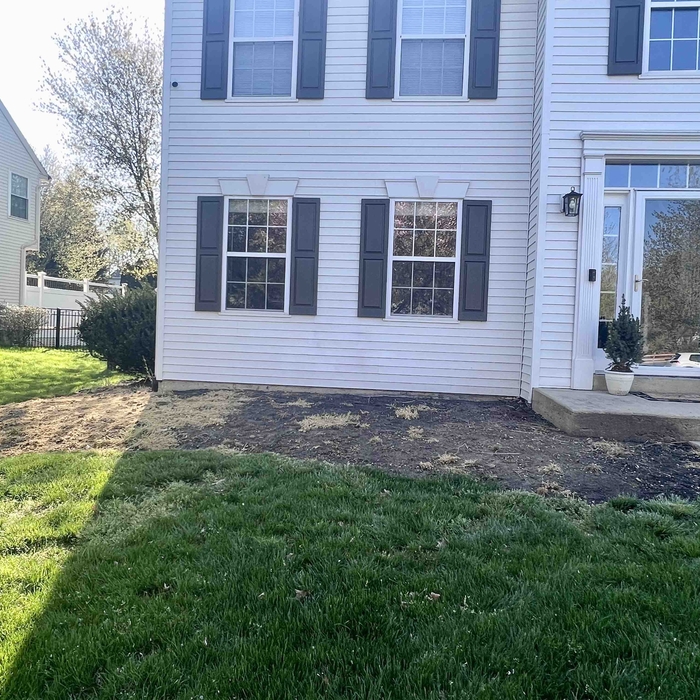 Before Photo