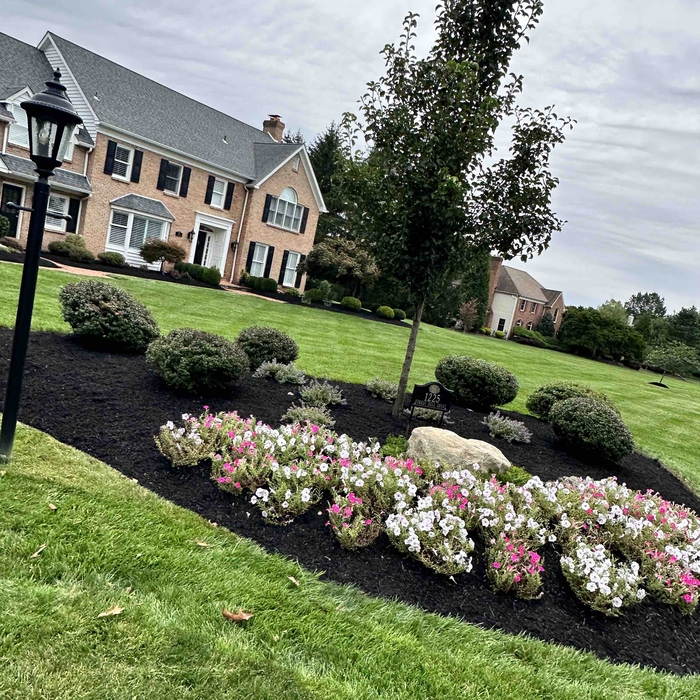landscaping bed design flowers