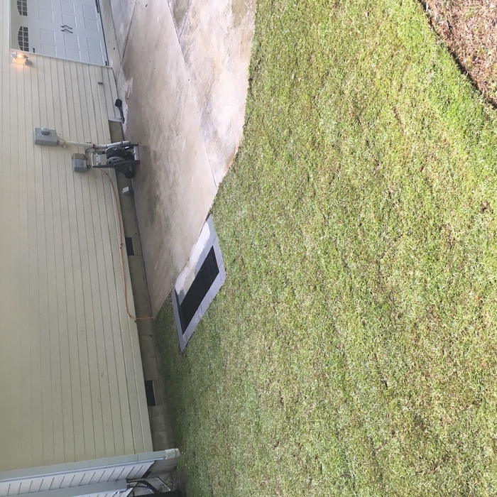 Finished Drain with sod