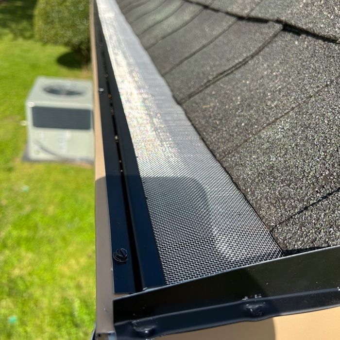 One Gutter Guard