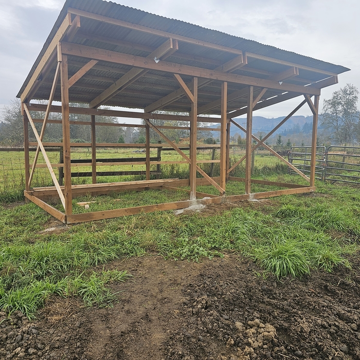 Horse Shelter