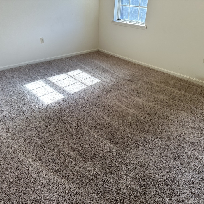 carpet refresh