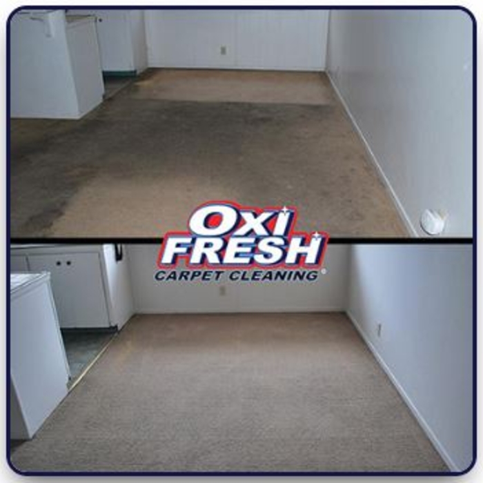 Carpet Cleaning