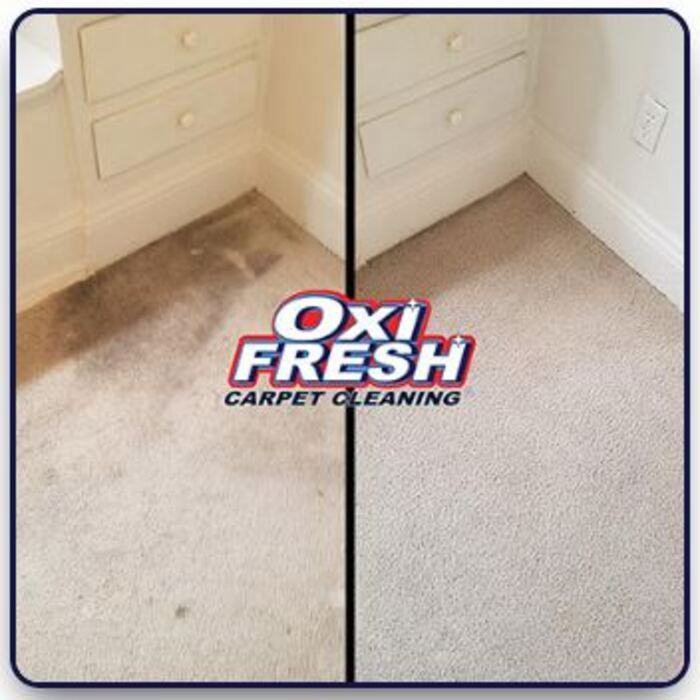 Carpet Cleaning