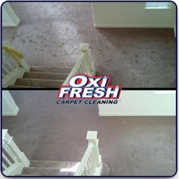 Carpet Cleaning