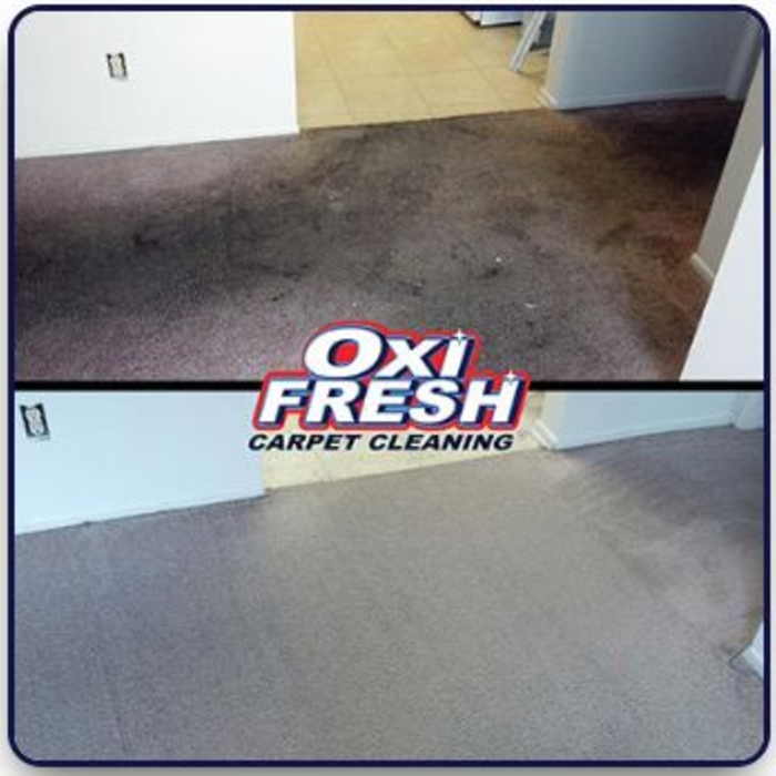 Carpet Cleaning