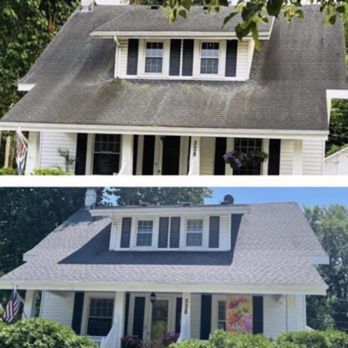 Roof cleaning