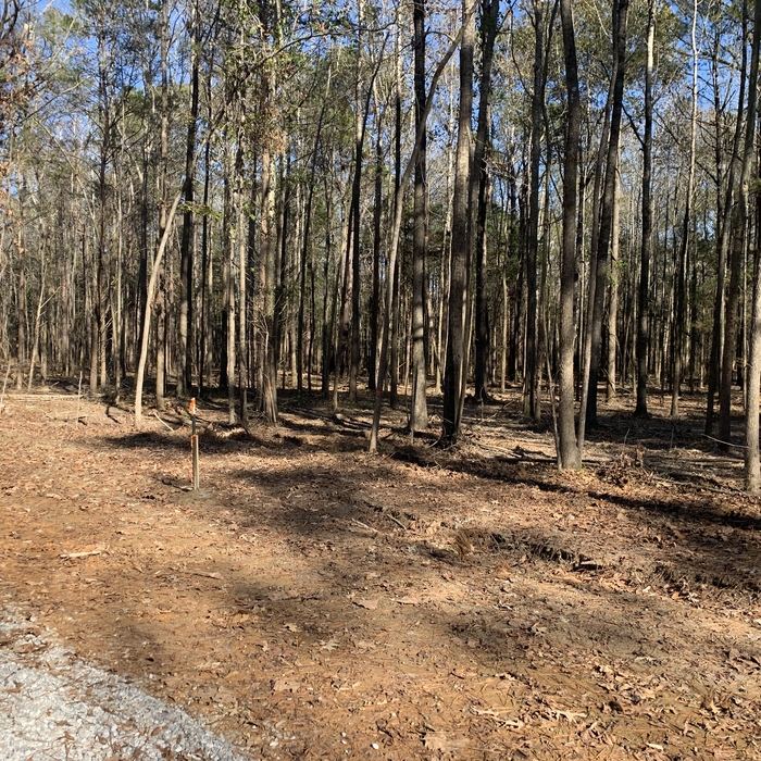 Site Preparation