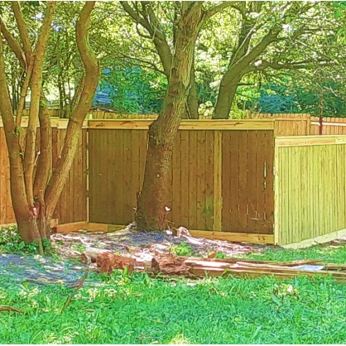 Renovated Fencing