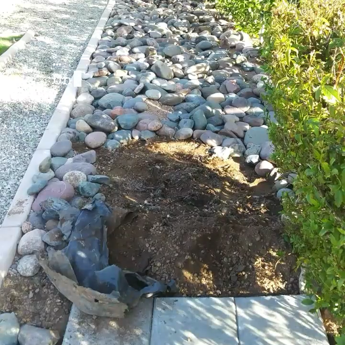 Walkway path