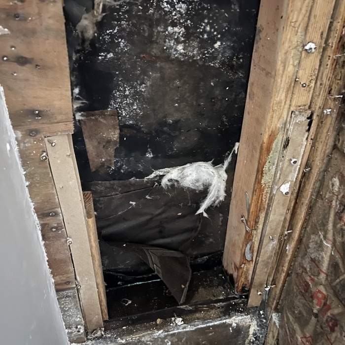 Mold