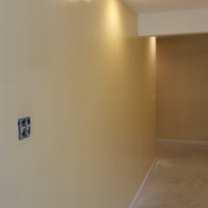 Basement Remodel