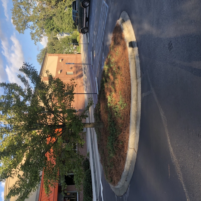 Commercial Landscaping
