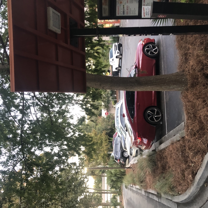 Commercial Landscaping