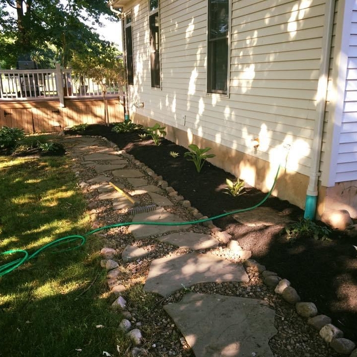 New front planting