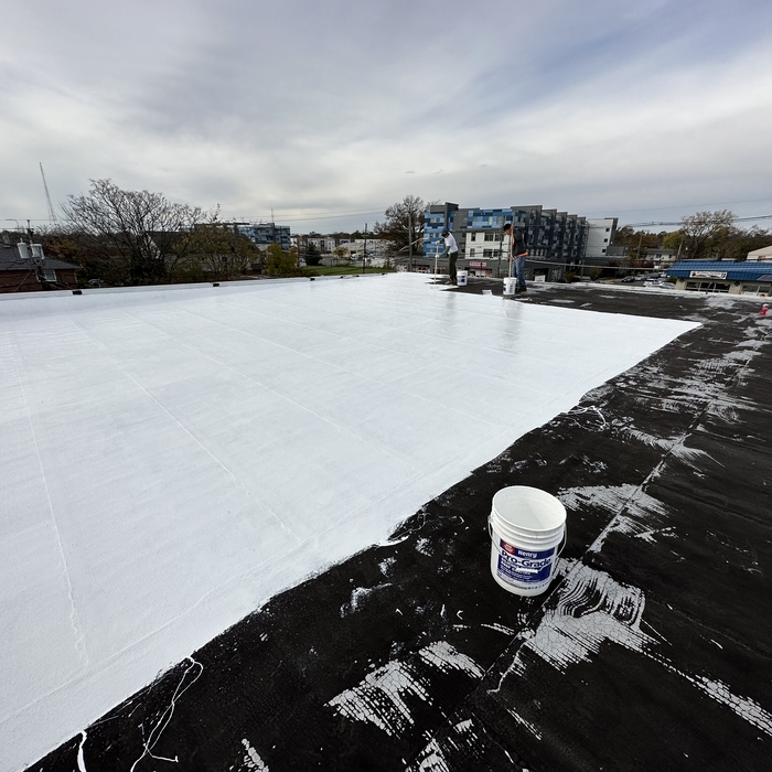 Silicon roof system
