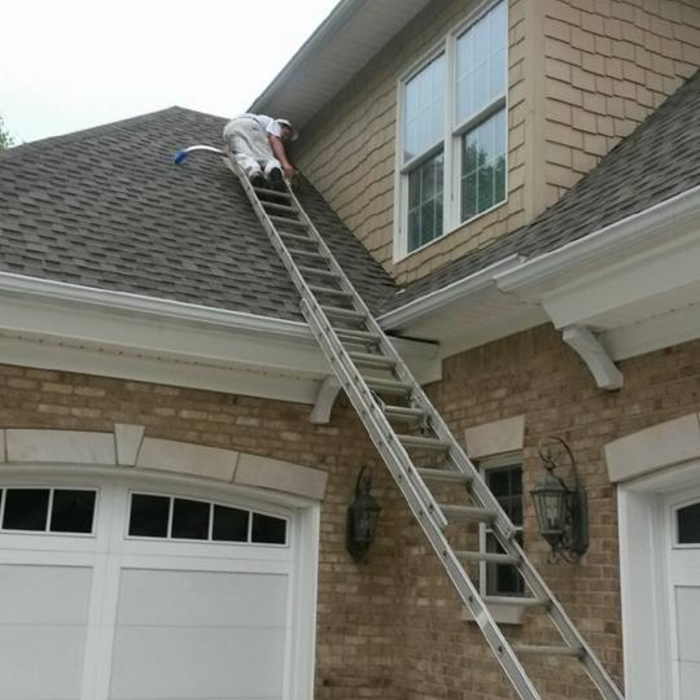 paint siding