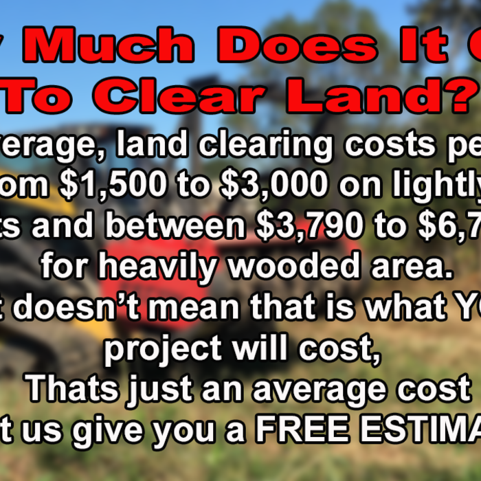 How much $$$