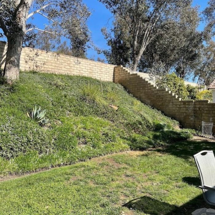 Residential Removal After