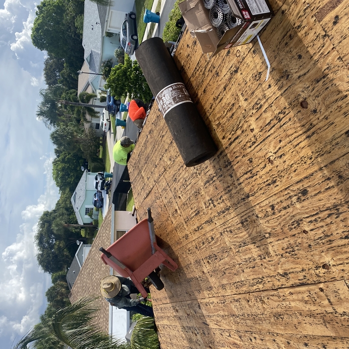 Shingle Roof Replace