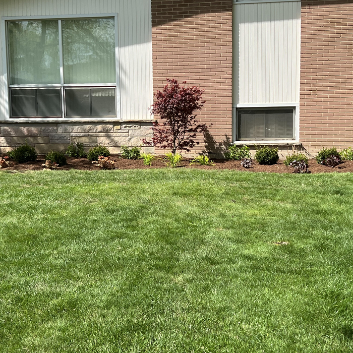 Lawn Clean-up and Topsoil