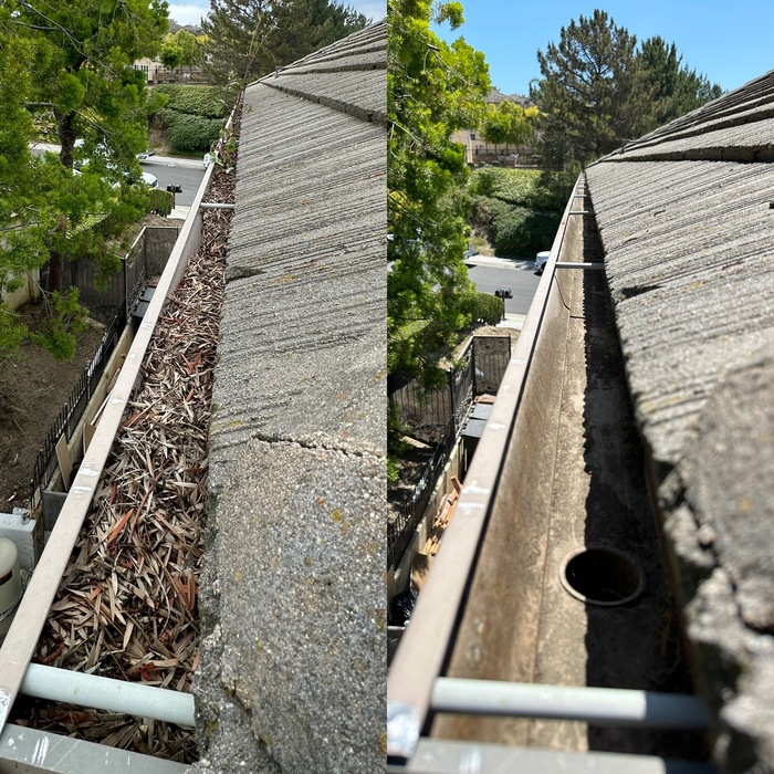 2-Story Gutter Clean