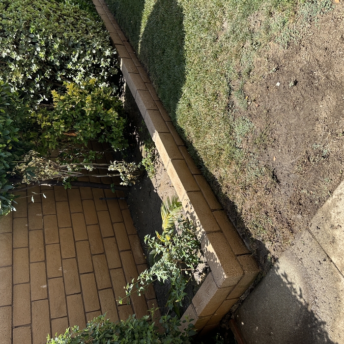After - No Algae