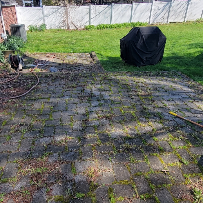 Before Cleaning