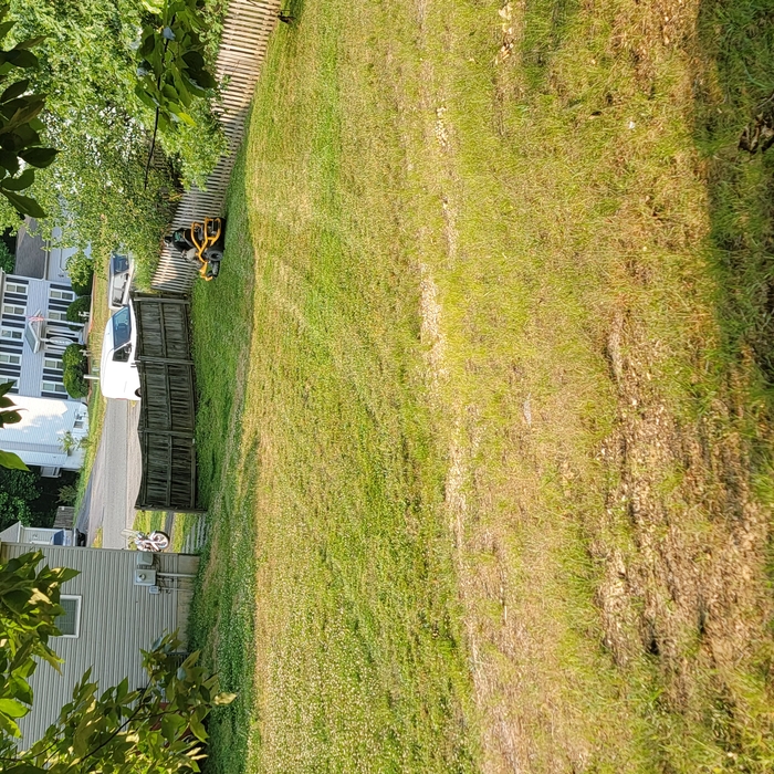 Cutting Grass