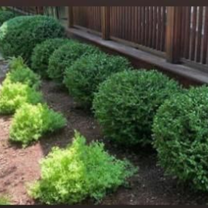 Landscaping