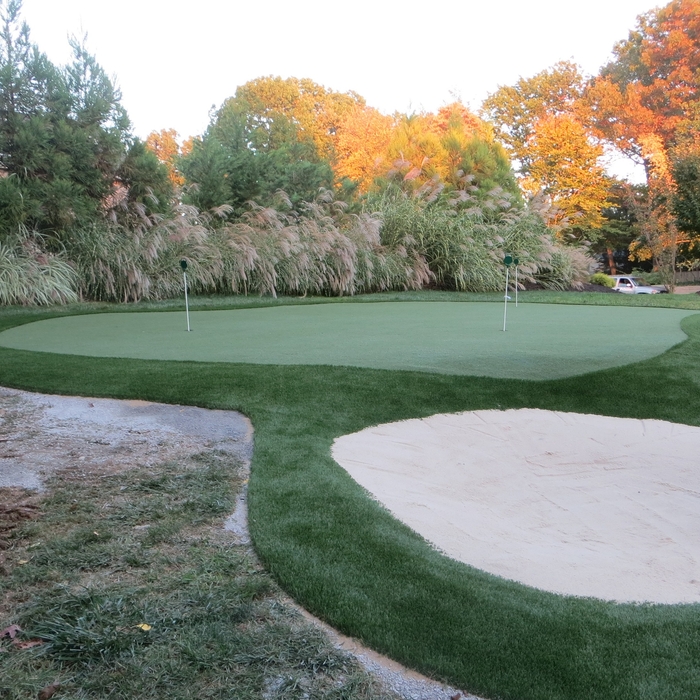 Putting Green with Sand Trap