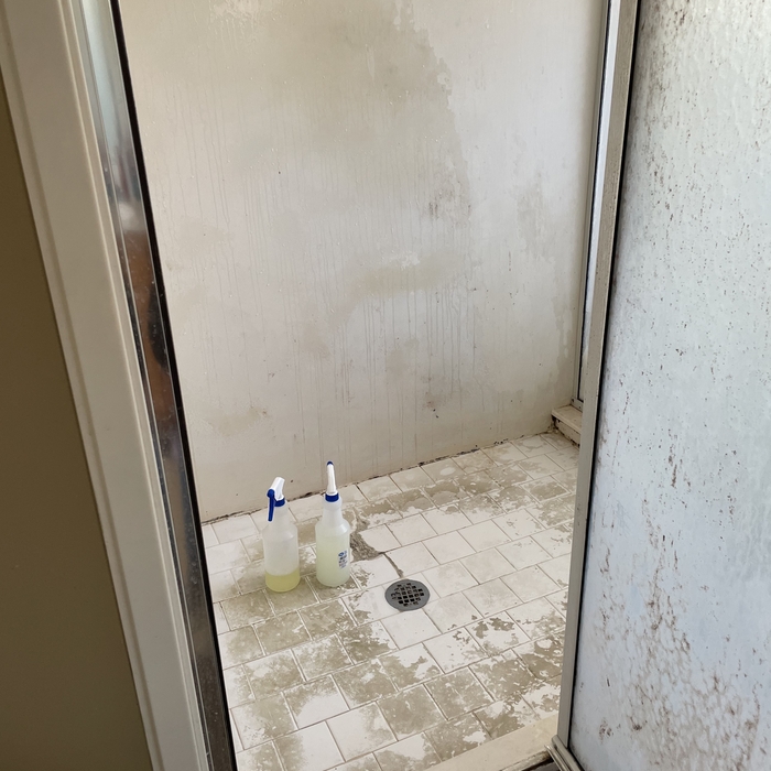 Master Shower - Before