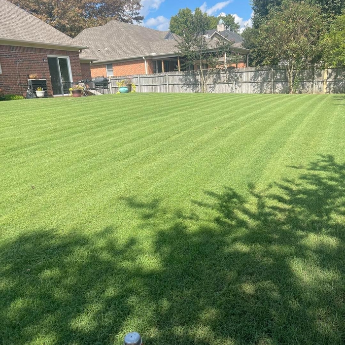 More Lines