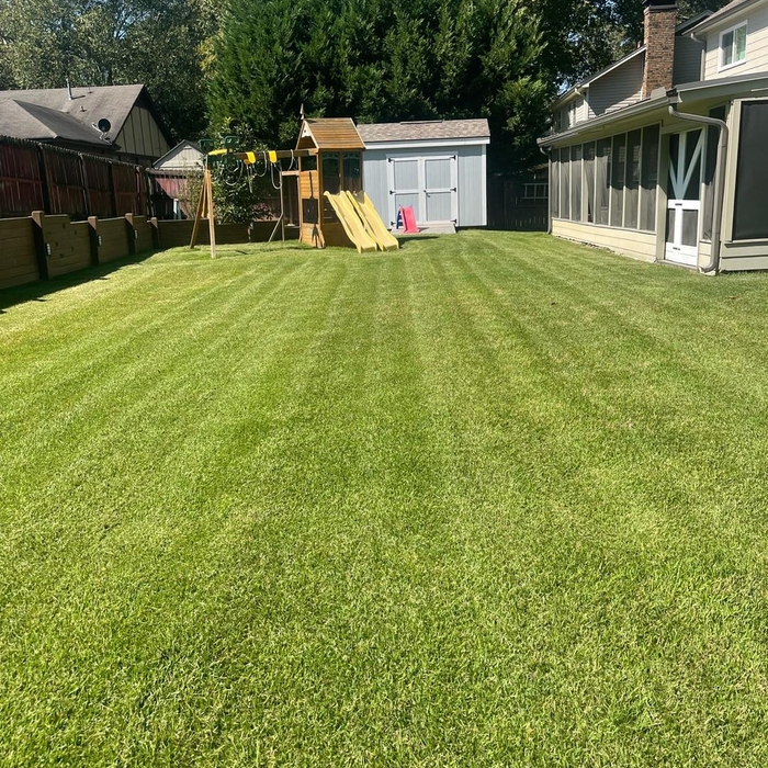More Lines