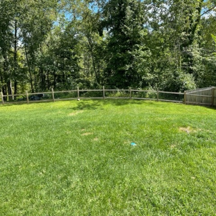 Fence fix up