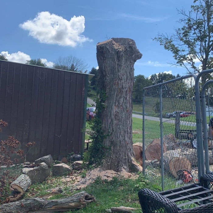 High stump
