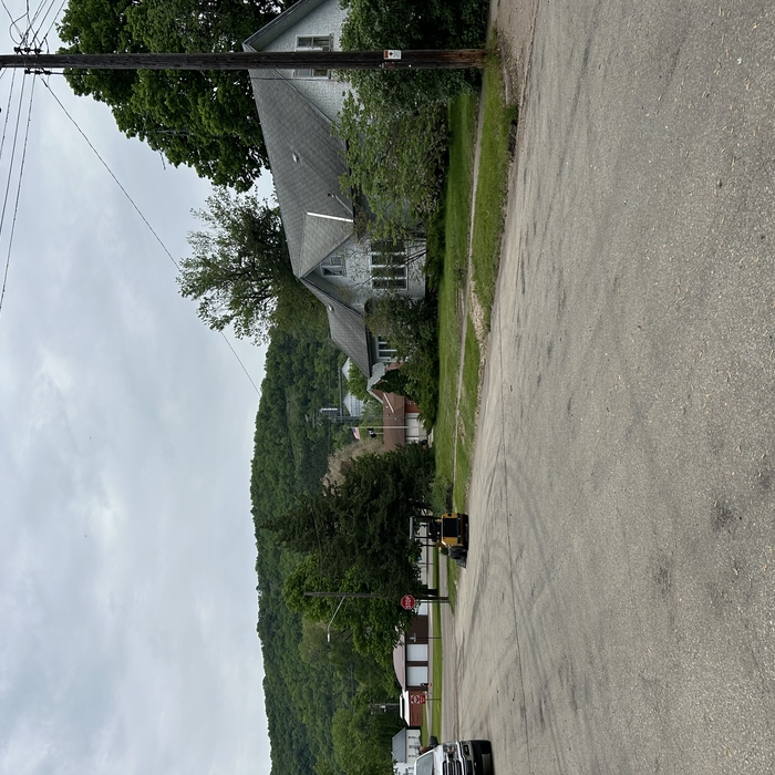 Tree Service