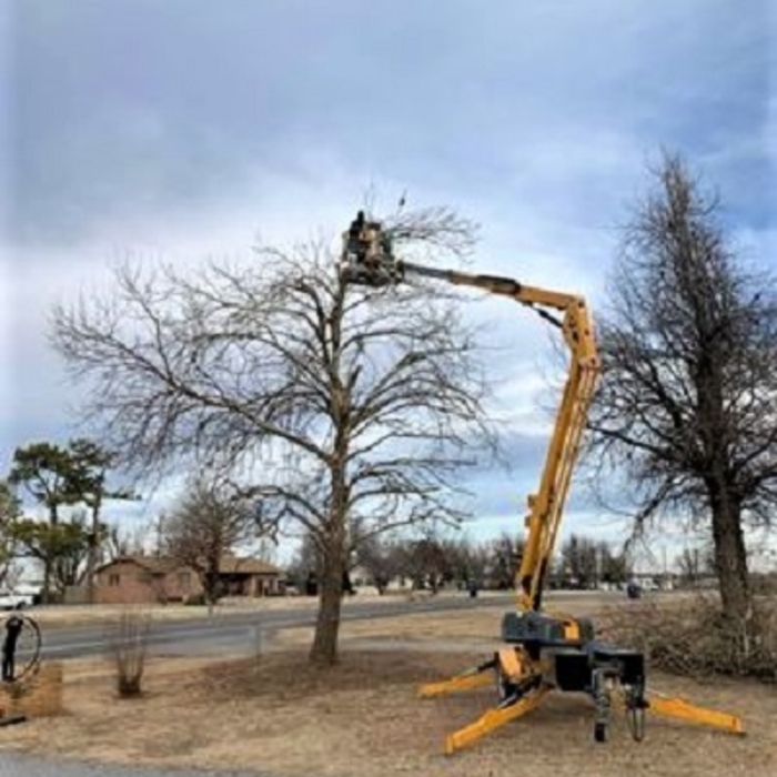 Manlift