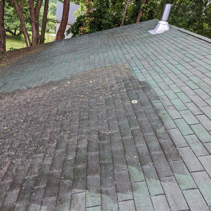Roof Before Photo