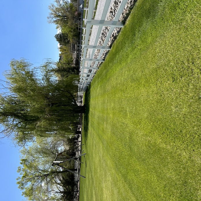 lawn mowing