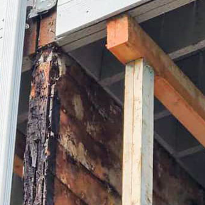 Wood Rot